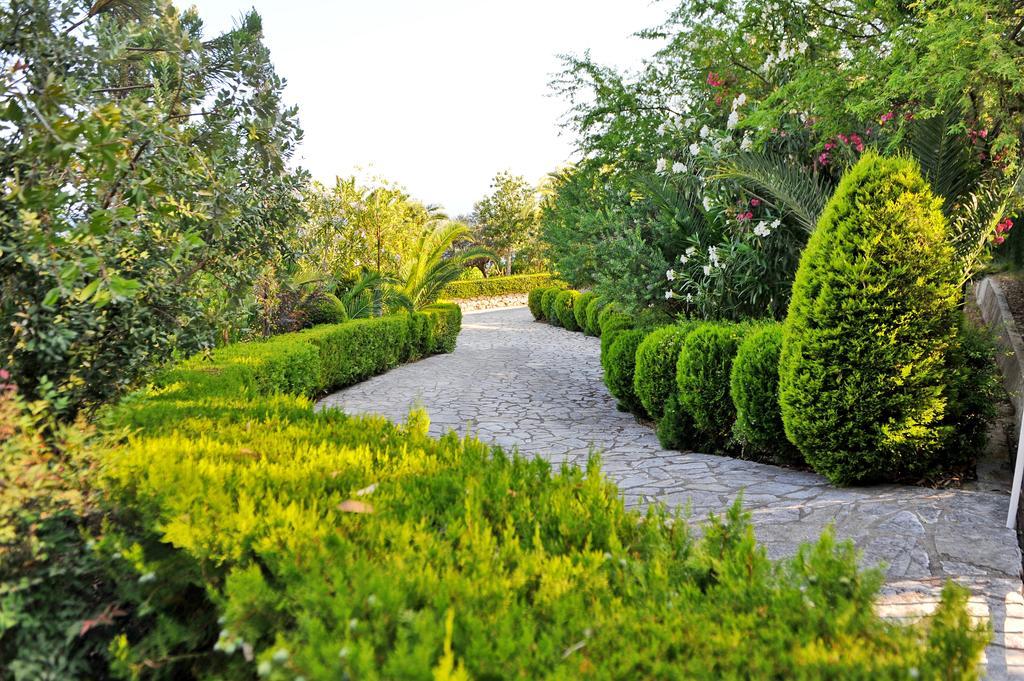 Vkastri Aparthotel Vasiliki  Ngoại thất bức ảnh